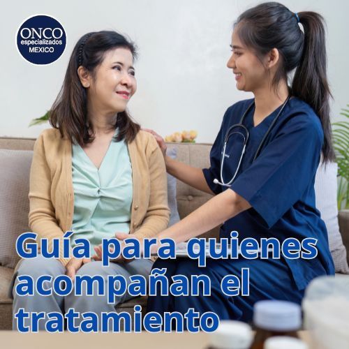 Profesional de salud conversa con paciente en un sofá; texto: “Guía para quienes acompañan el tratamiento”