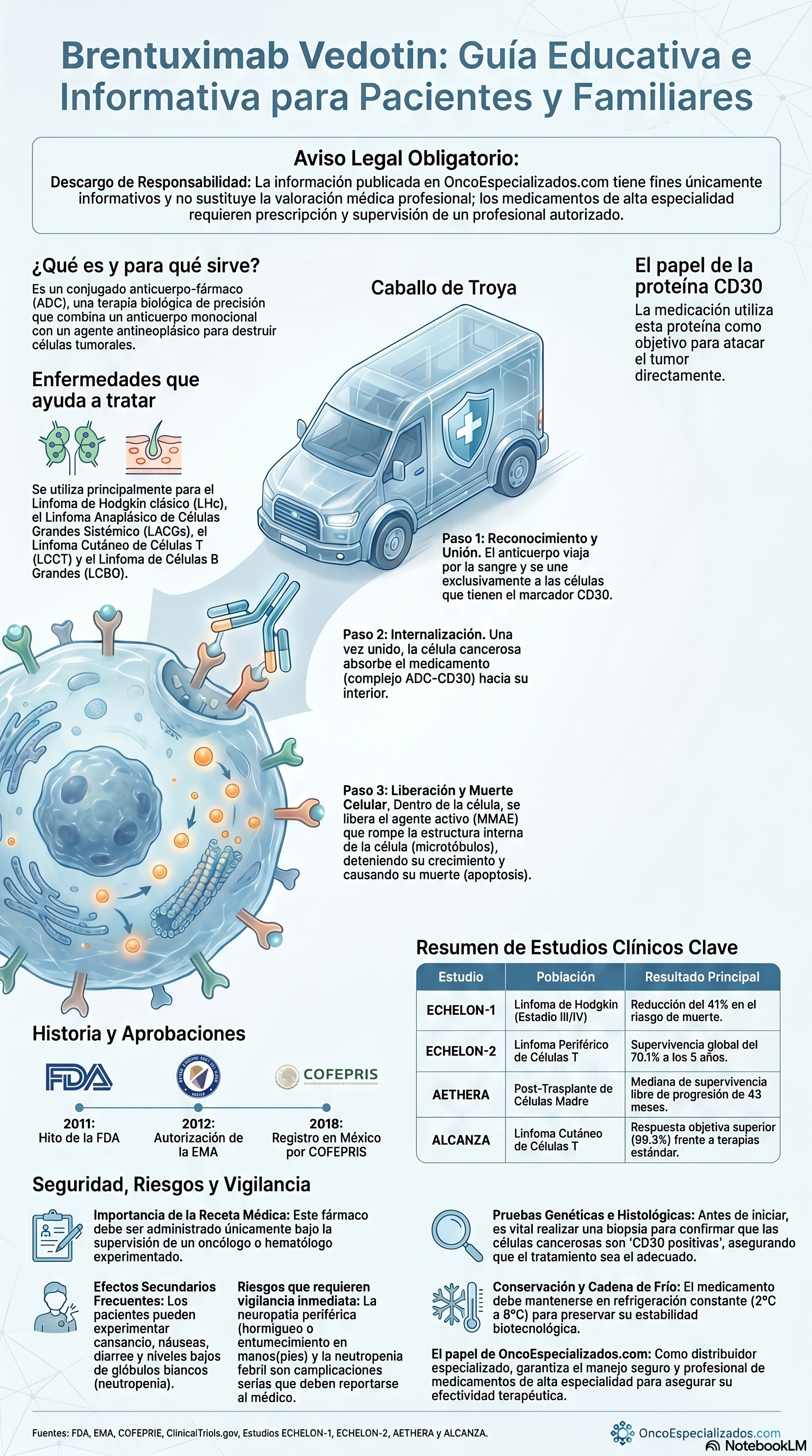 Infografía educativa en español sobre la prevención de la COVID-19, con ilustraciones del virus, pasos a seguir y una pequeña tabla de datos.