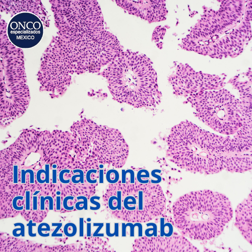 Portada en español con micrografía rosa y título: “Indicaciones clínicas del atezolizumab”.