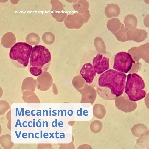 venclexta resolvemos tus dudas