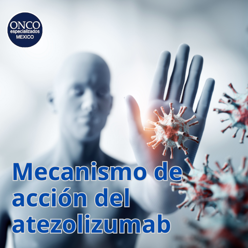 Ilustración médica del mecanismo de acción del atezolizumab, con células y partículas virales en azul y rojo.