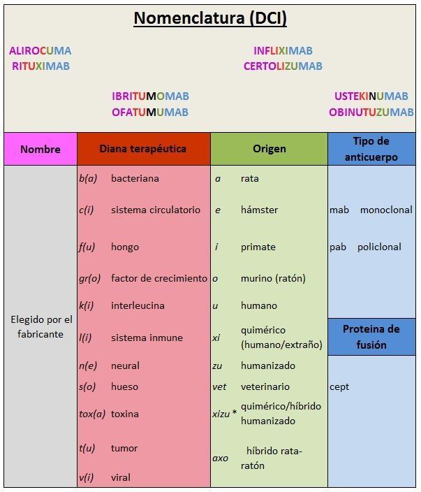 Rituximab origen del nombre — Nomenclatura DCI Nomenclatura DCI del rituximab, origen del nombre del anticuerpo monoclonal anti-CD20
