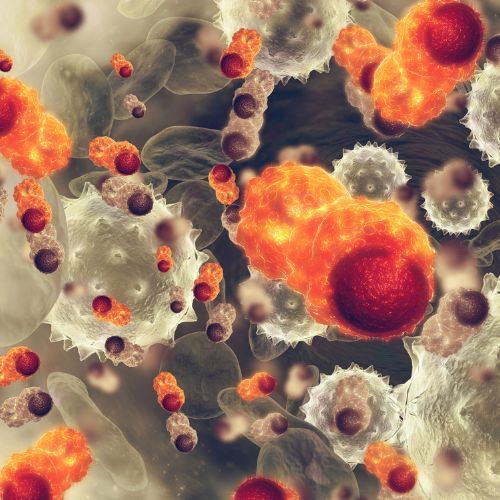 Celulas Cancerosas trastuzumab
