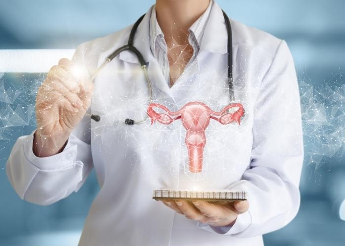 Un médico sostiene un modelo de útero brillante con un estetoscopio en un consultorio médico.