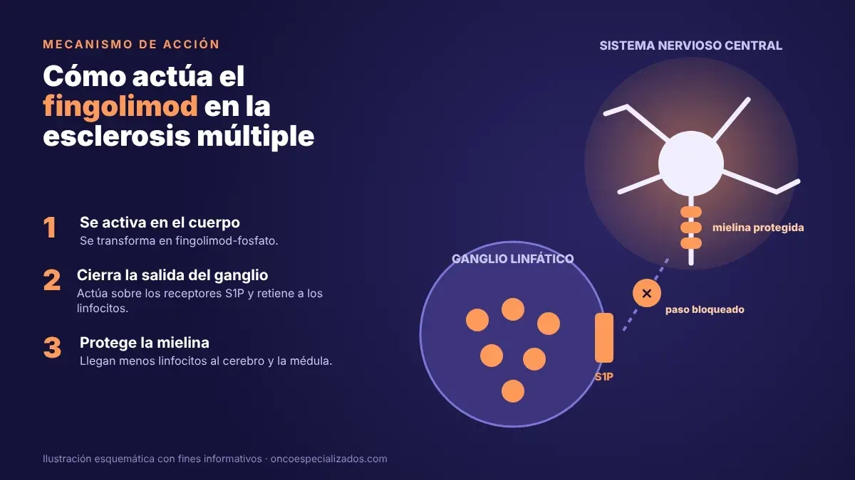Mecanismo de acción de fingolimod, modulador del receptor S1P