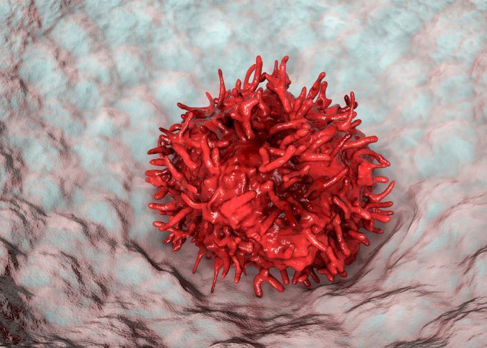 Hematopoyeticas Ibrutinib