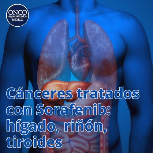 Imagen médica de órganos afectados por cáncer.