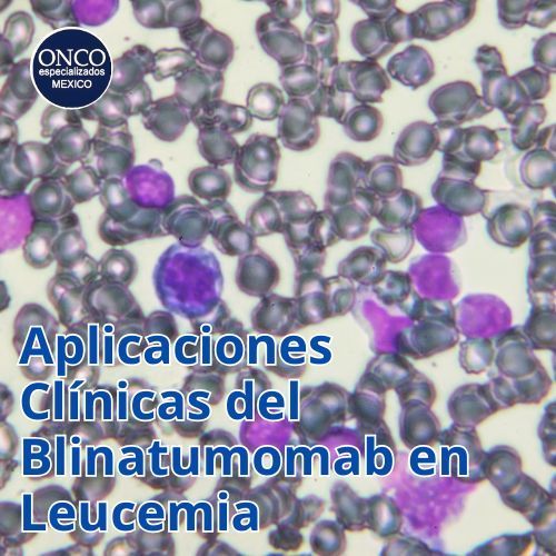 Células sanguíneas vistas al microscopio.