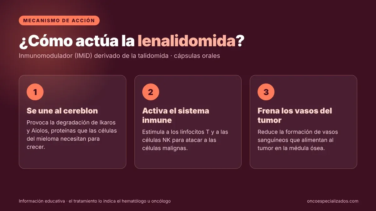 Mecanismo de acción de la lenalidomida, inmunomodulador IMiD que actúa sobre el cereblon