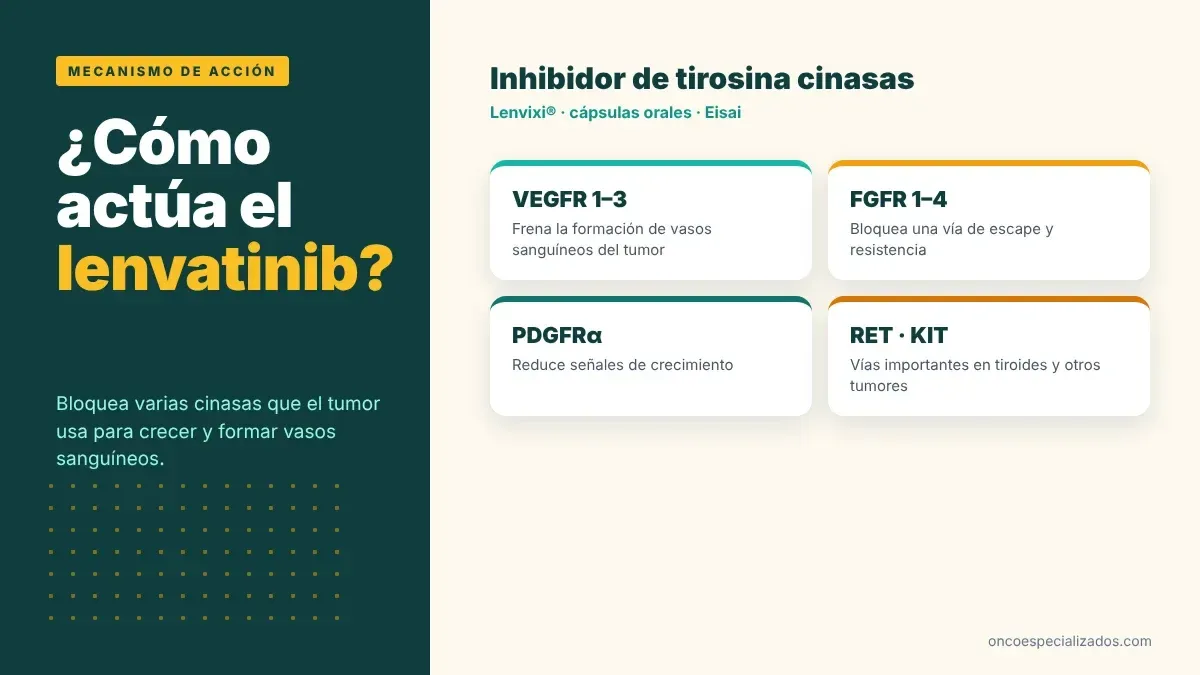 Mecanismo de acción del lenvatinib, inhibidor multicinasa de VEGFR, FGFR, PDGFRα, RET y KIT