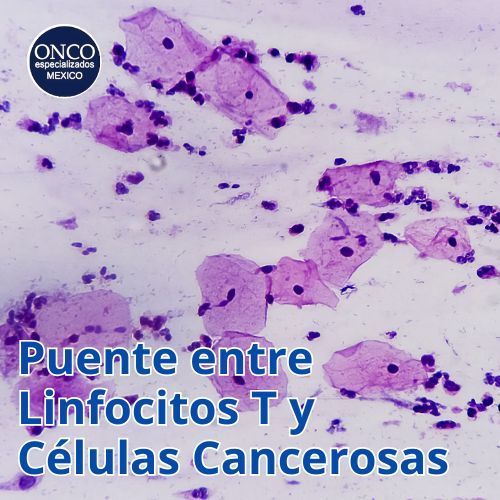 Imagen microscópica de células leucémicas.