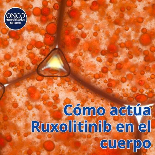 Ilustración de la vía JAK-STAT bloqueada por Ruxolitinib.