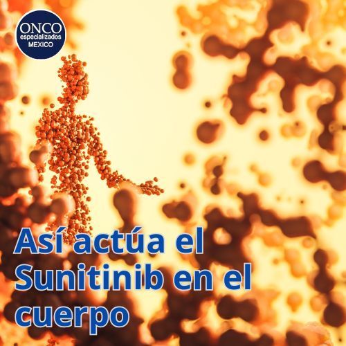 Células y ADN en acción, ilustrando el mecanismo de Sunitinib.
