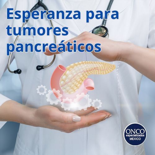 Médico mostrando imagen digital del páncreas.