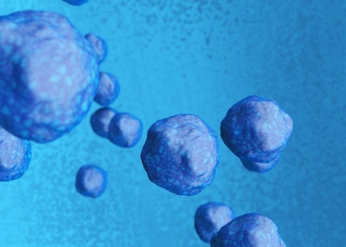 ibrutinib transplante