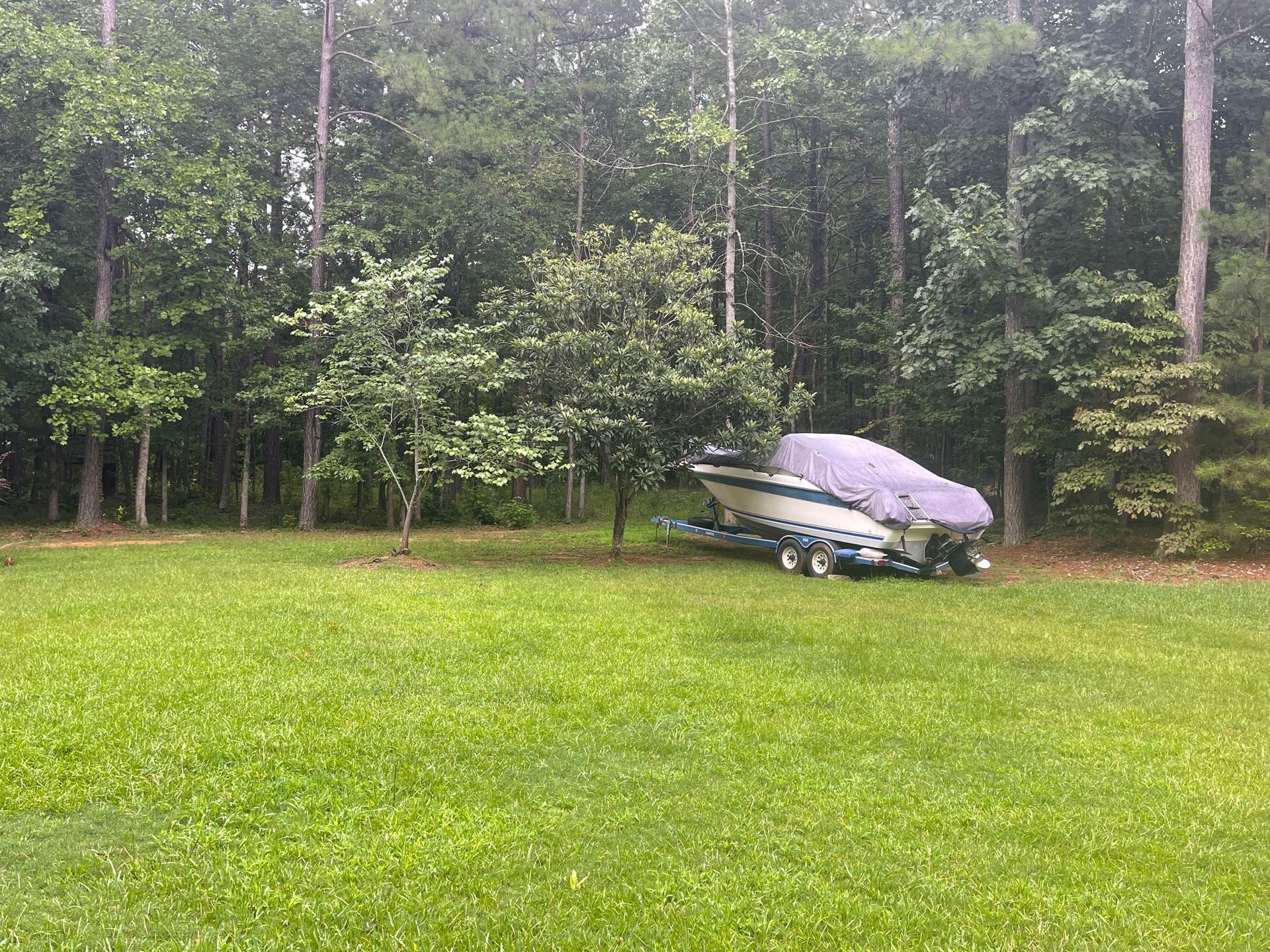 Gallery #6 — LaGrange, GA — Advance Tree Removal and Land Management