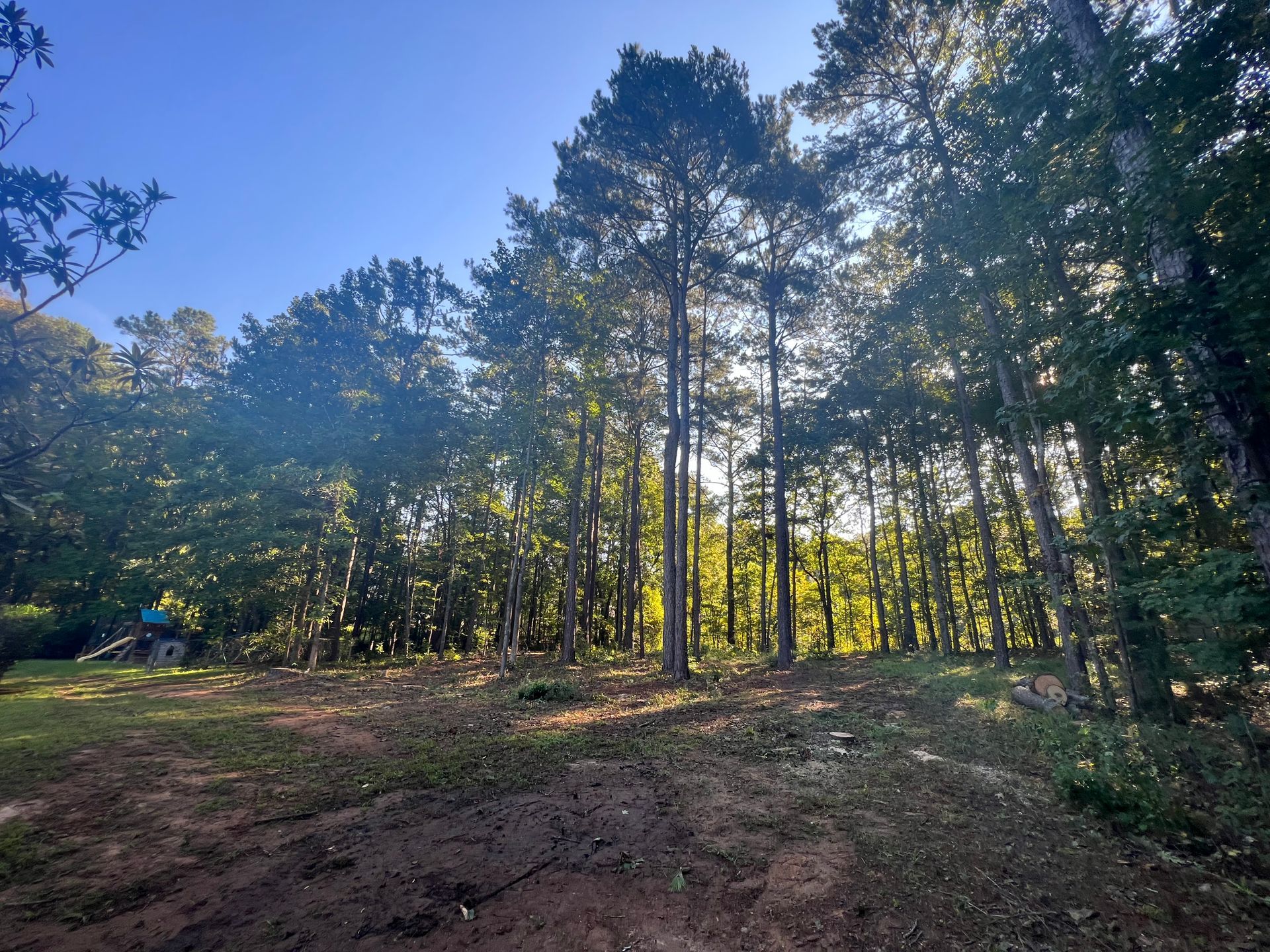 Gallery #5 — LaGrange, GA — Advance Tree Removal and Land Management