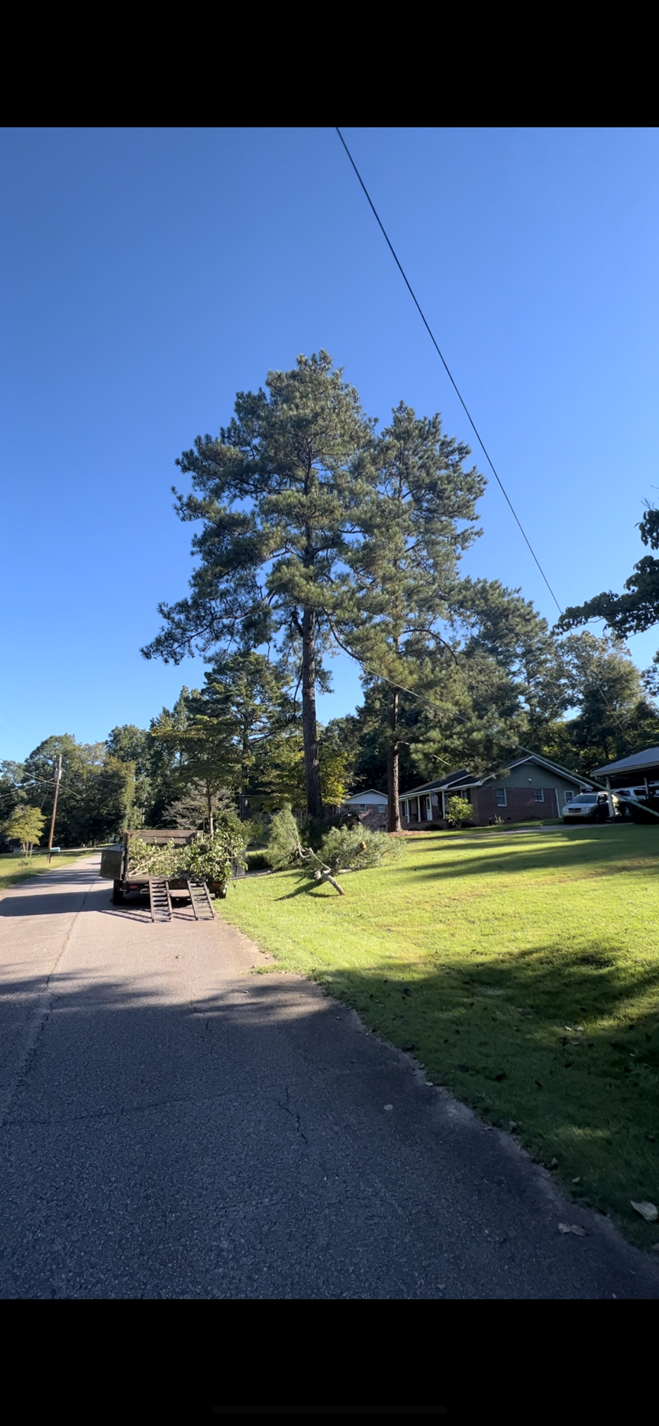 Gallery #10 — LaGrange, GA — Advance Tree Removal and Land Management