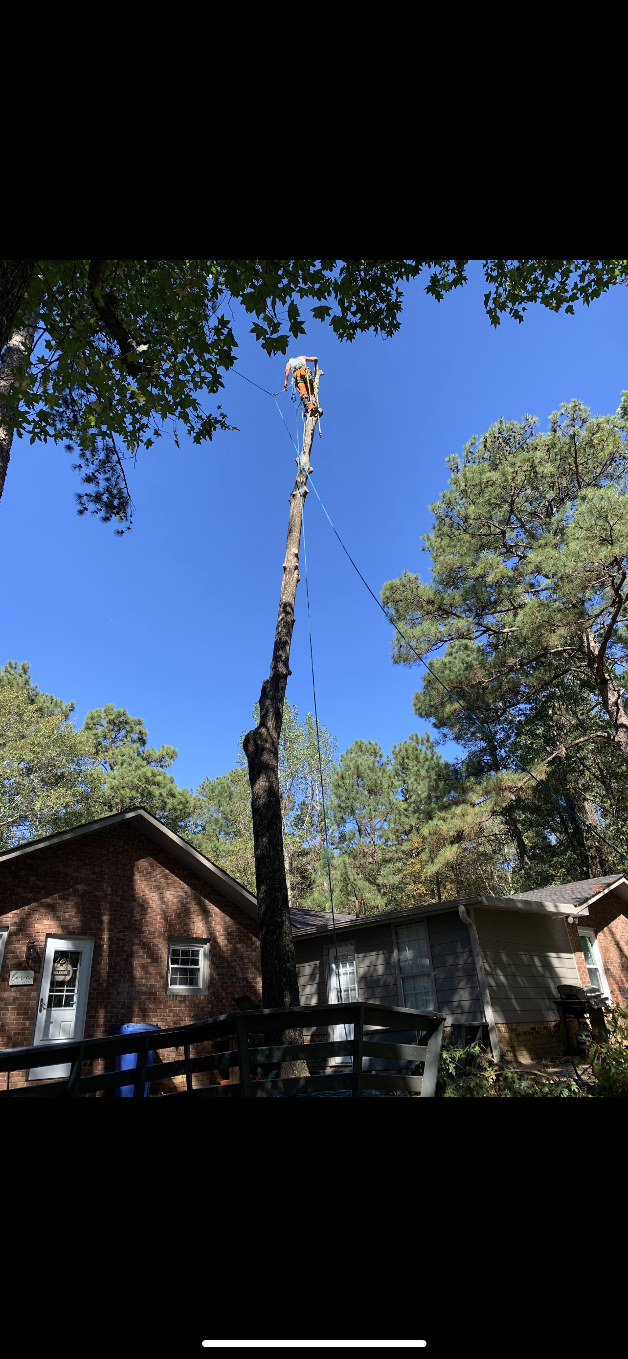 Gallery #8 — LaGrange, GA — Advance Tree Removal and Land Management