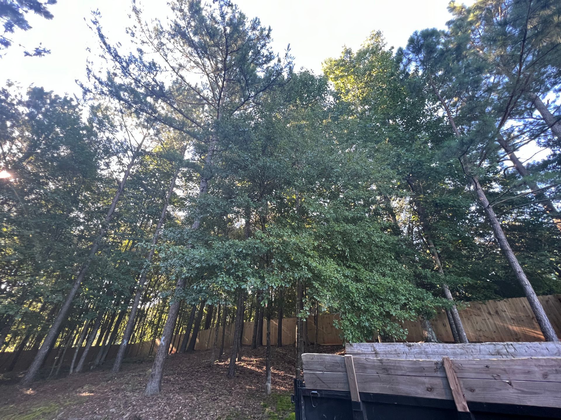 Gallery #9 — LaGrange, GA — Advance Tree Removal and Land Management