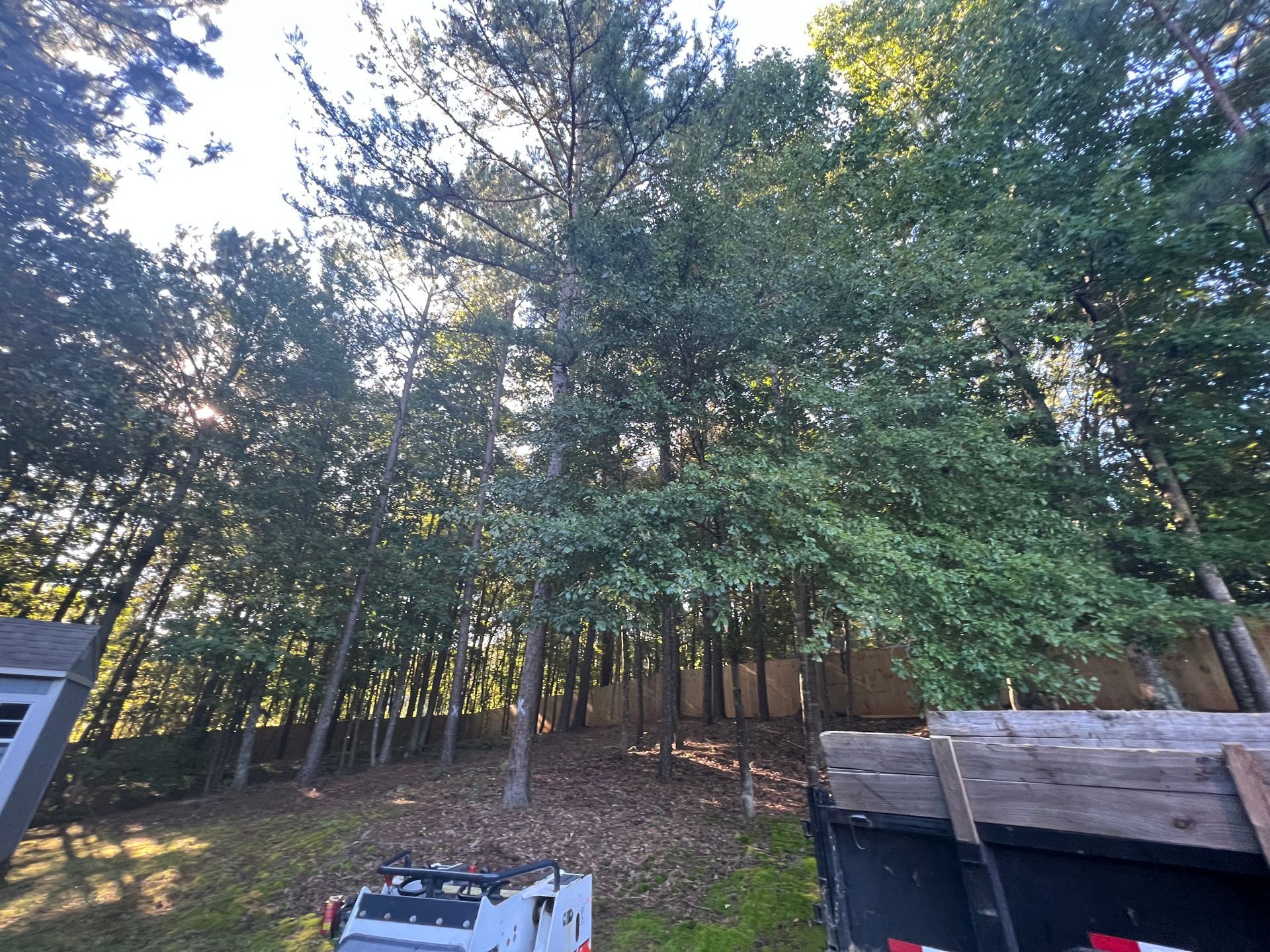 Gallery #12 — LaGrange, GA — Advance Tree Removal and Land Management