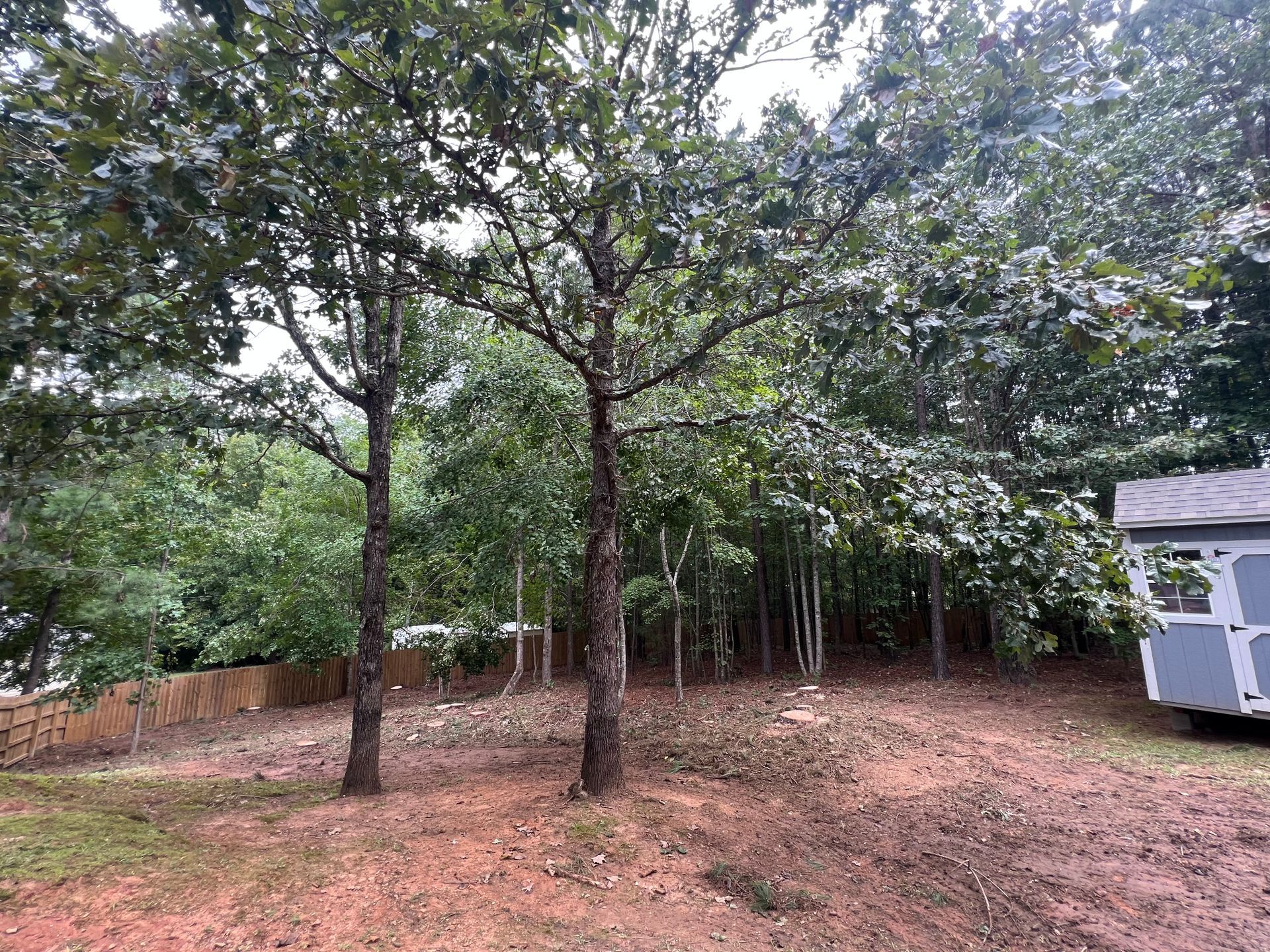 Gallery #15 — LaGrange, GA — Advance Tree Removal and Land Management