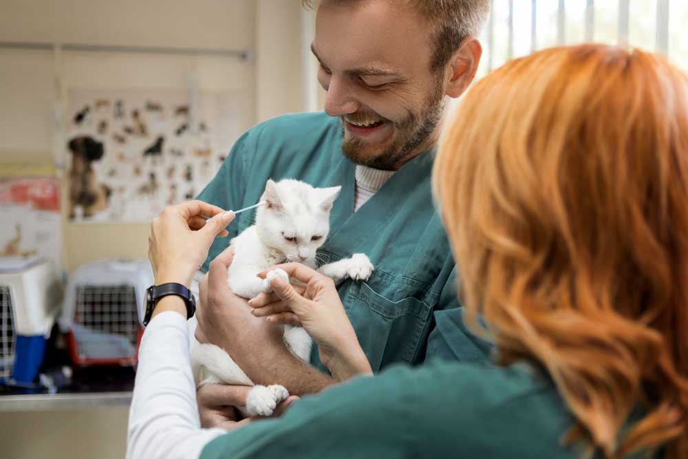Ear Cleaning — Foley, AL — Coastal Pet Resort LLC