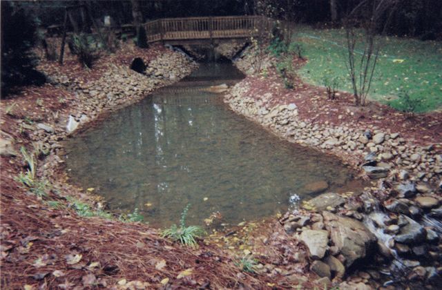 A small pond with a wooden bridge in the background
