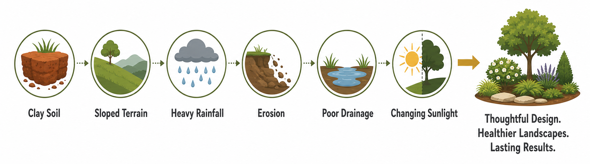 Illustrated cycle of rice cultivation from seedling to harvest, ending with a bowl of cooked rice