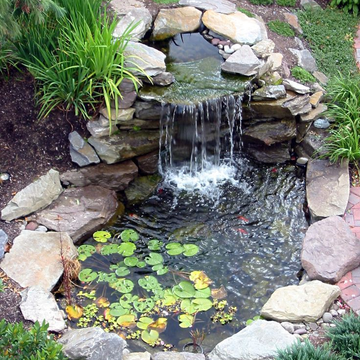 Small garden pond with a stone waterfall, surrounded by rocks and green plants.