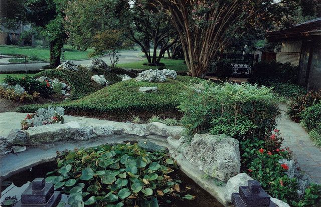 A garden with a pond surrounded by rocks and plants