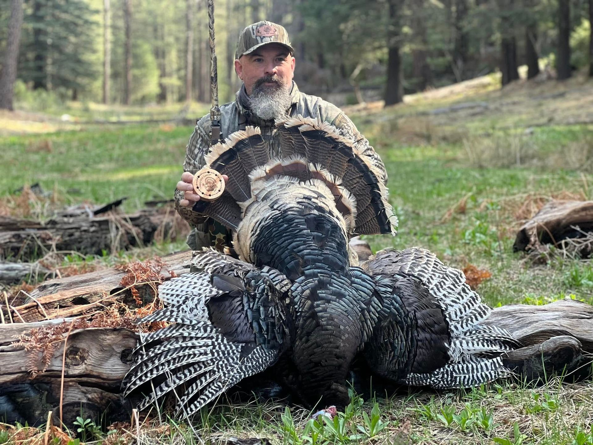 turkey call in action from Arizona