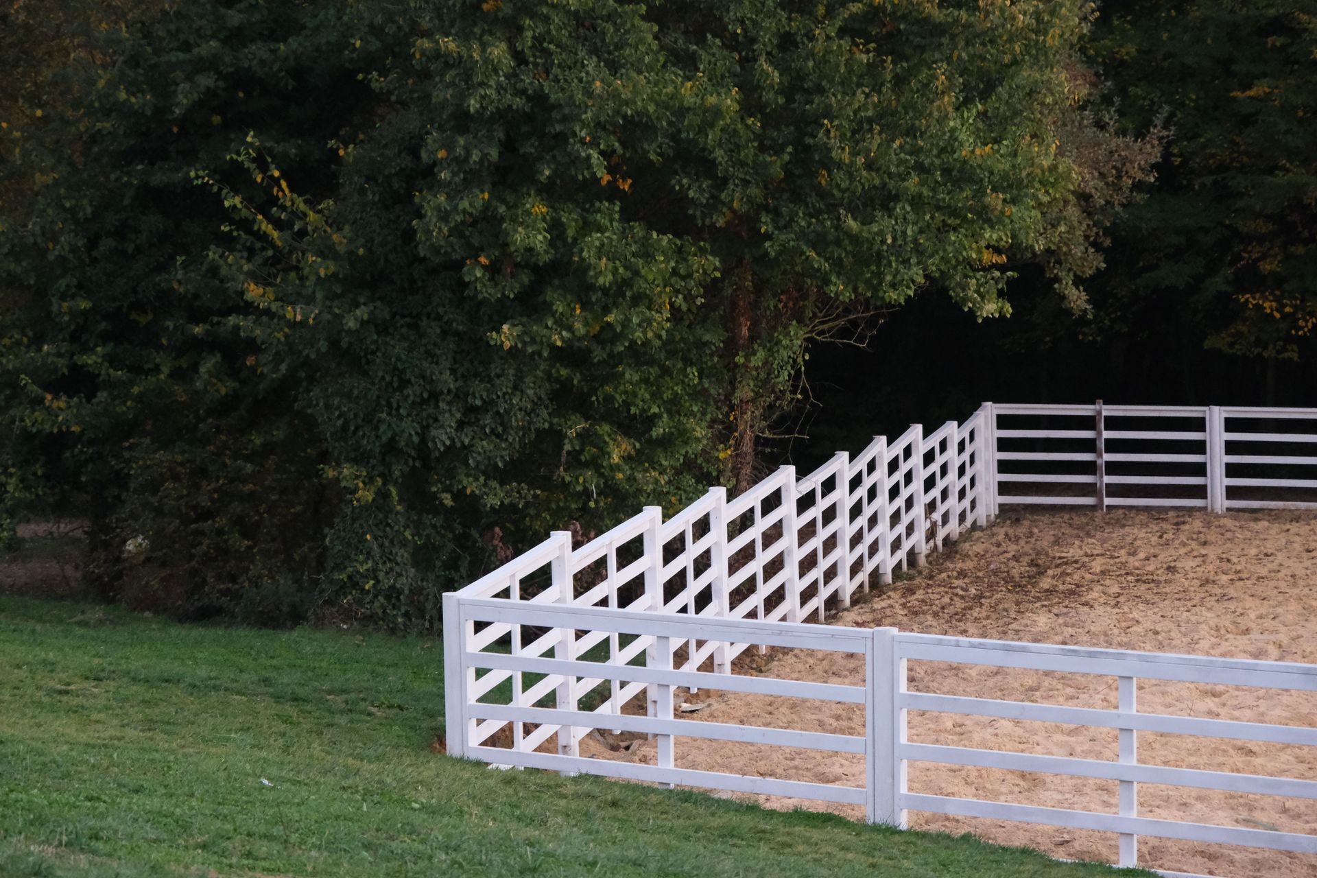 White fenced paddock beside grassy field and trees