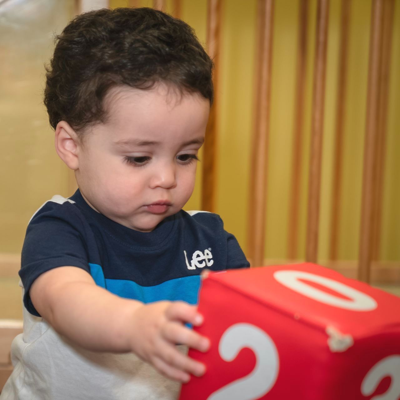 Toddlers program