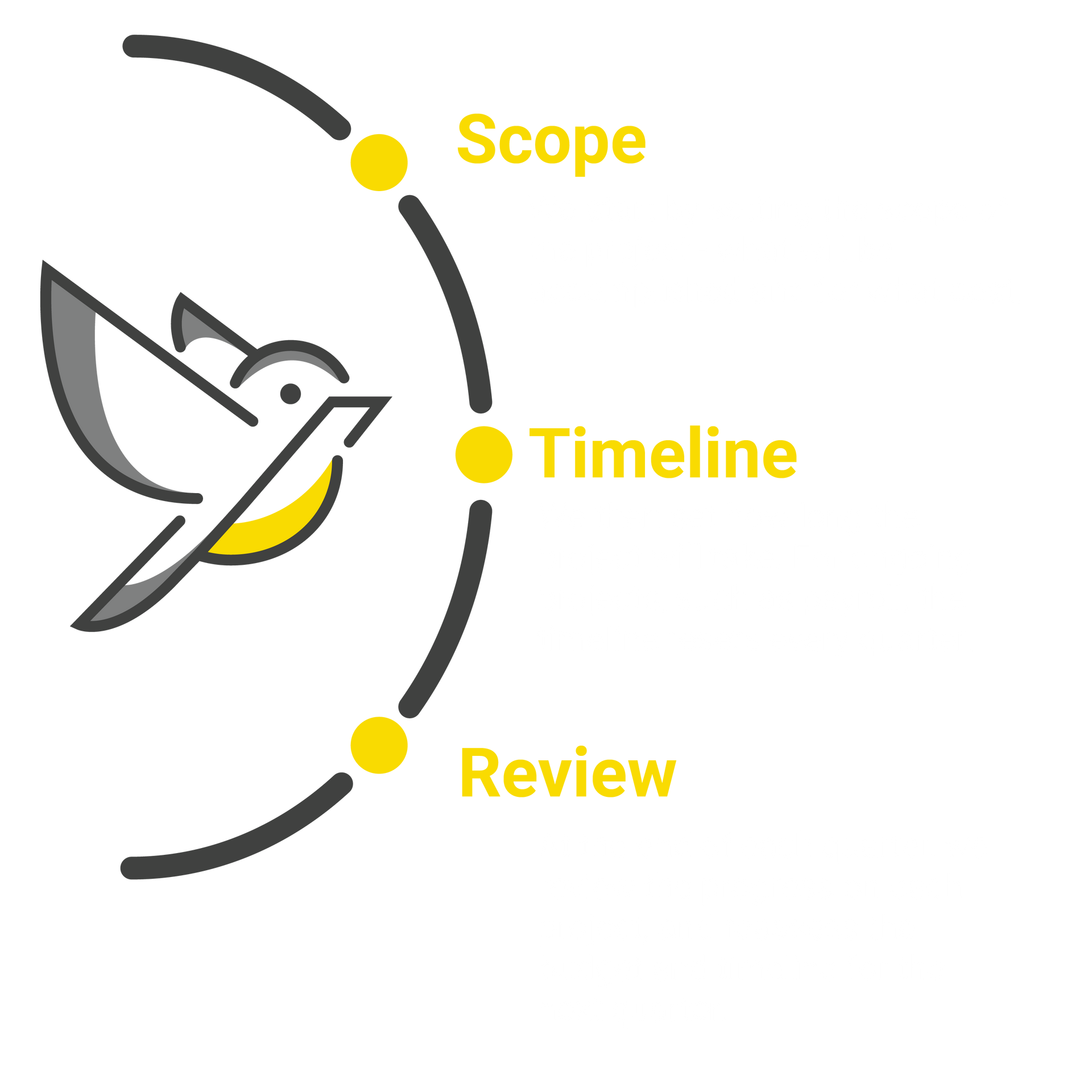 Infographic showing the process of setting the scope and timeline of each project, followed by quarterly reviews. .
