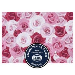 Close-up of pink, red, and white roses, with a 