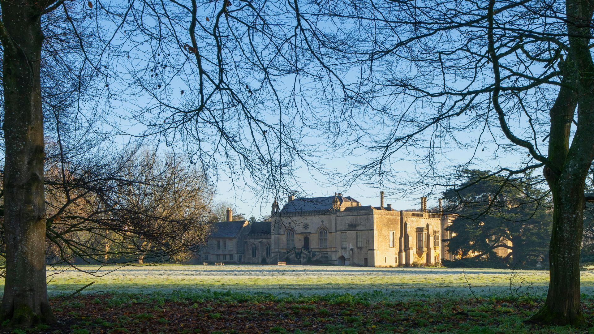Mansion in the distance
