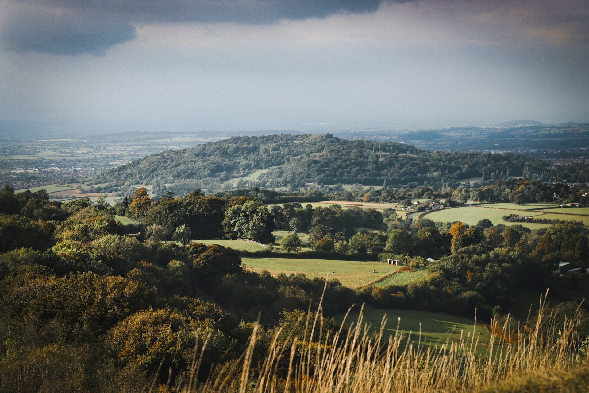 Cotswolds
