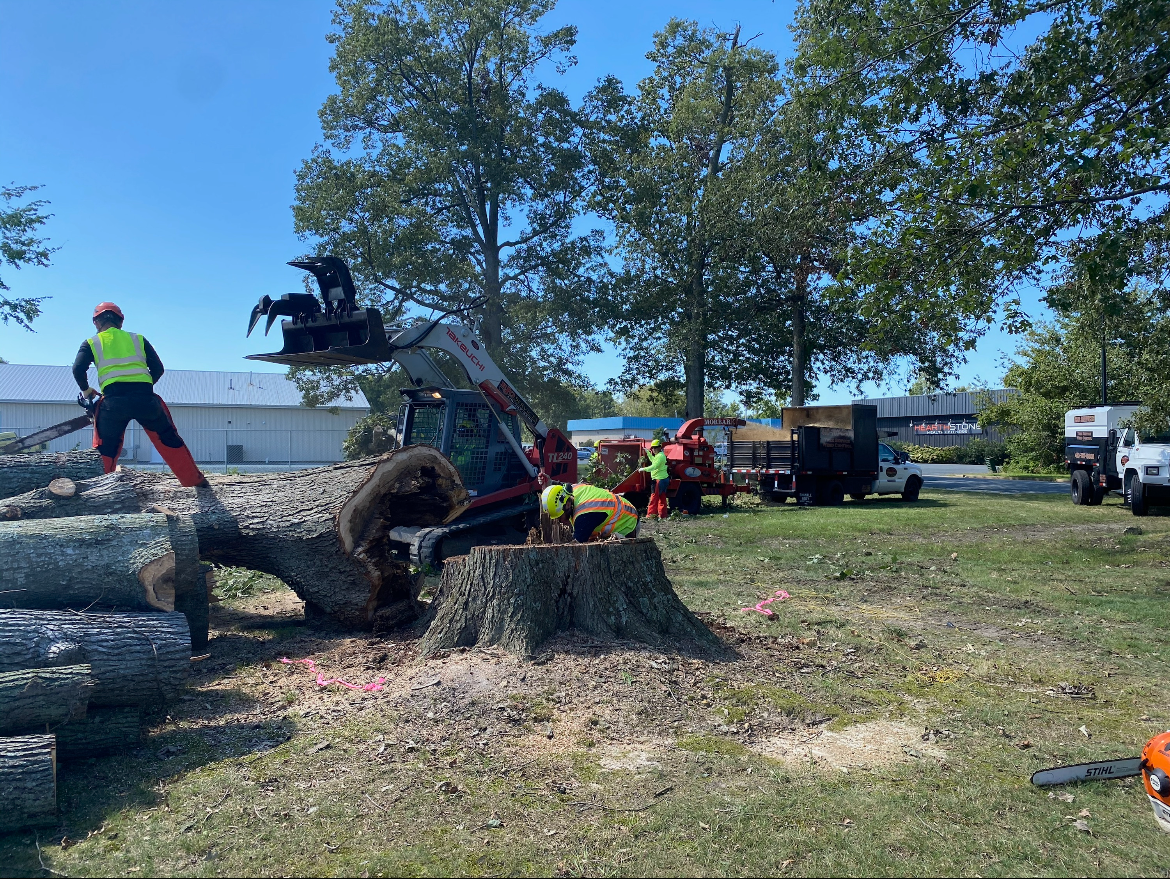 Aquatic Herbicide Application — Two Man And A Boat In The River in Glen Burnie, MD