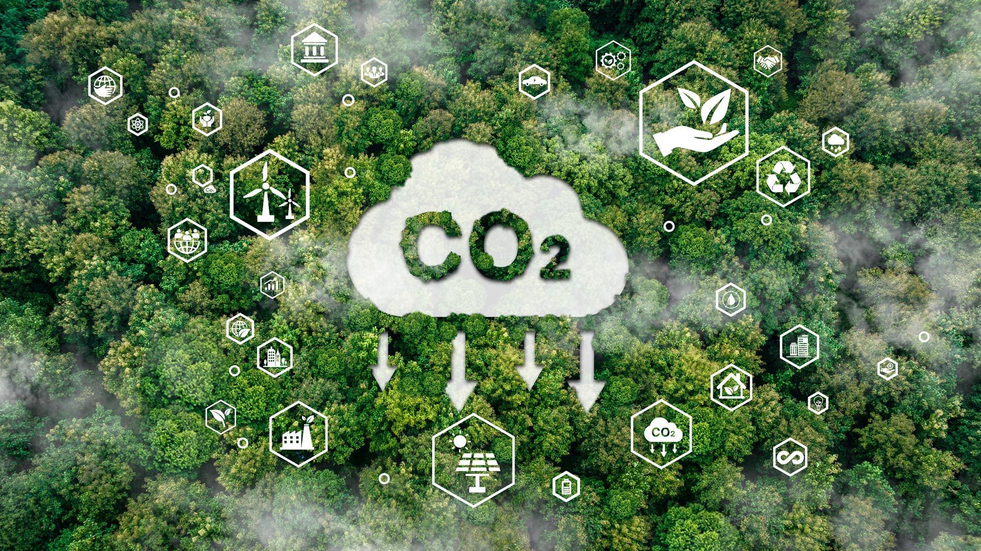 Carbon removal concept showing CO2 absorption cloud above forest with sustainability icons. Carbon removal concept showing CO2 absorption cloud above forest with sustainability icons.