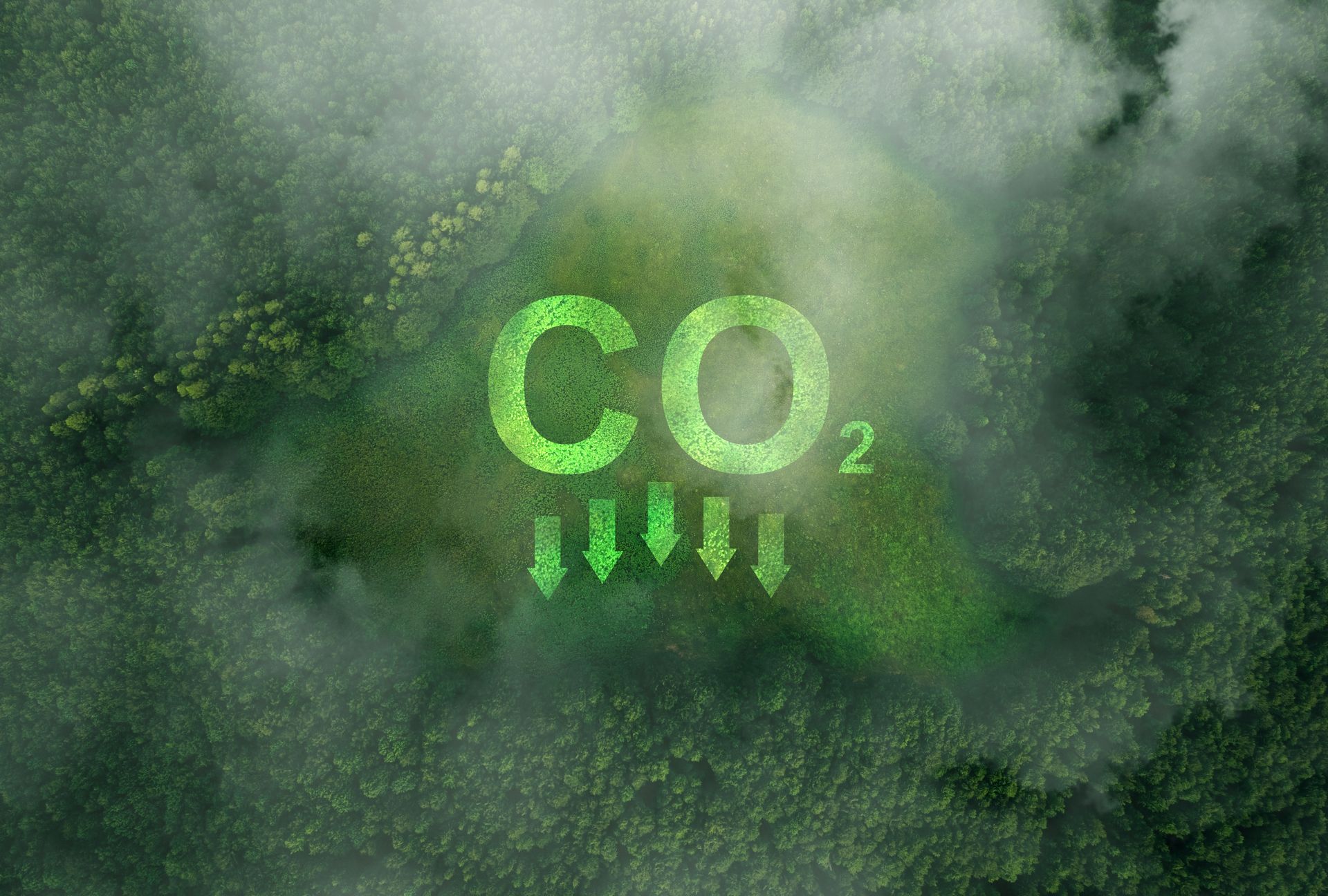 CO₂ reduction symbol with downward arrows over a lush green forest.