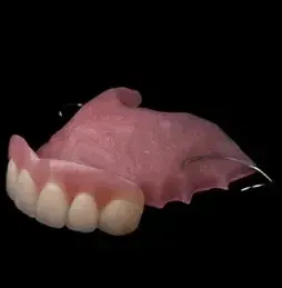 A Dentist Is Examining a Model of Teeth with A Dental Tool — Cosmetic Denture Services–Jacob Maxwell in Sarina, QLD