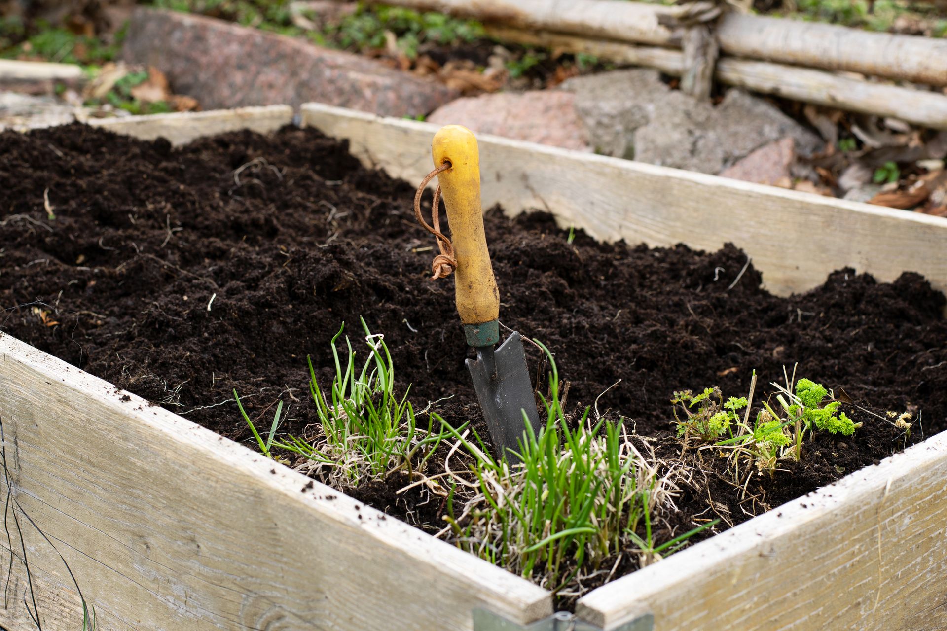 Small raised garden bed with dark soil, weeds, and a hand trowel stuck in the dirt