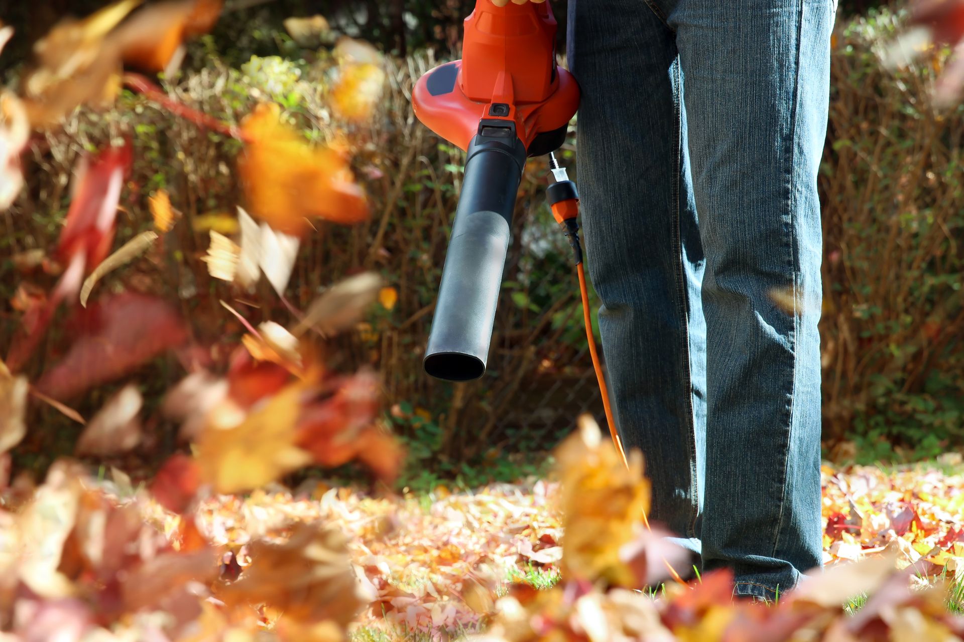 Person using a red leaf blower to clear autumn leaves on a path