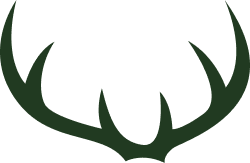 Dark green deer antlers logo on a white background