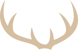 Dark green deer antlers logo on a white background