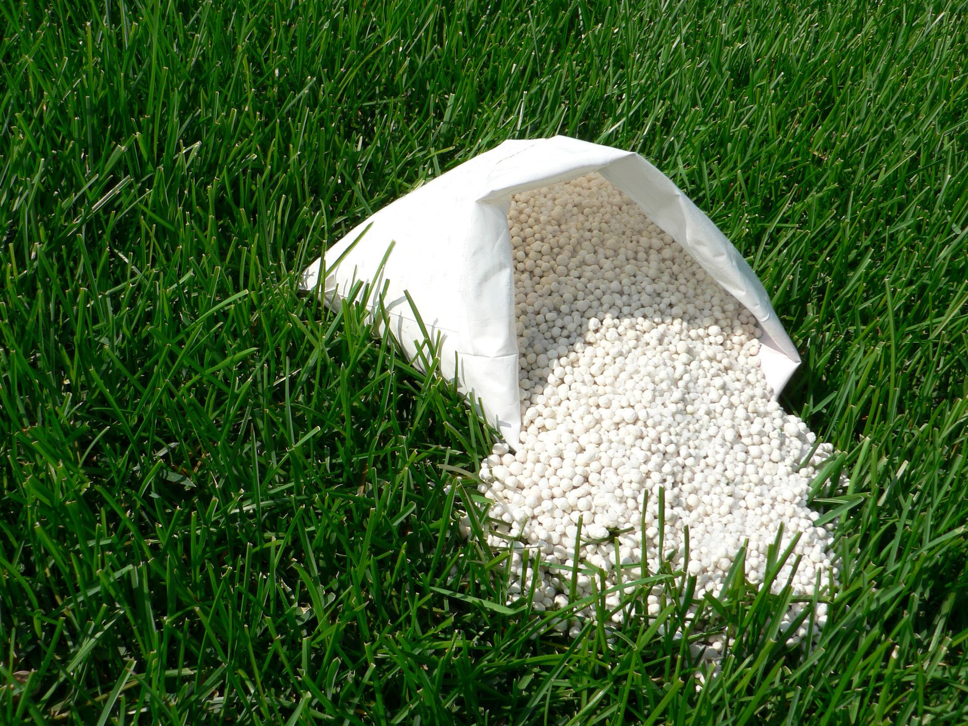 Spilled white pellets from a tipped paper bag on green grass