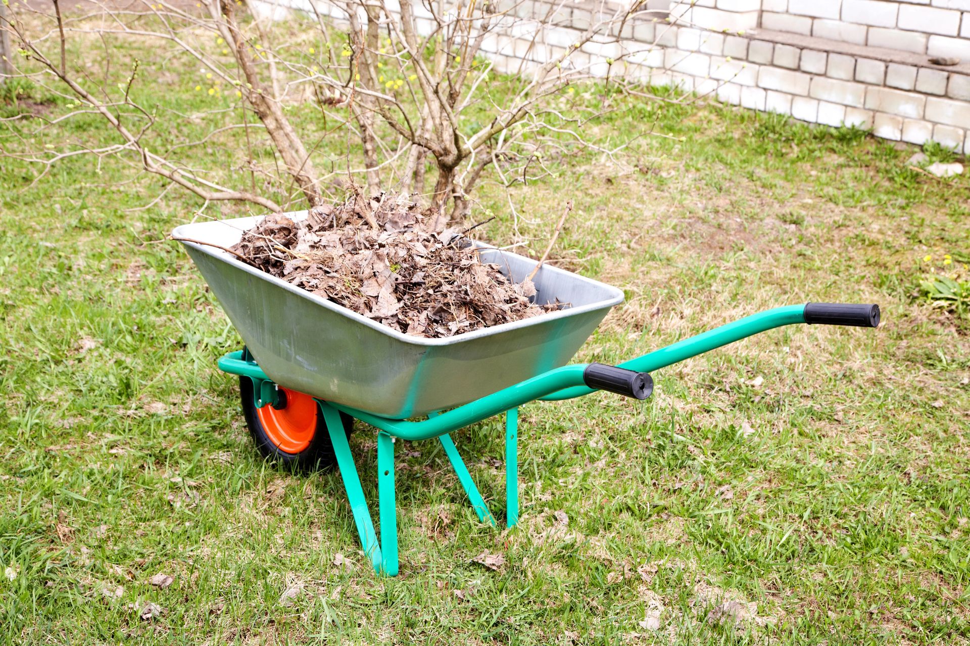 Green wheelbarrow filled with debris on grass near a stone wall