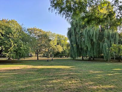 Grassy park with scattered trees and a large weeping willow under a clear blue sky