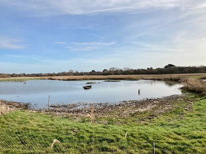 Small pond or wetland with calm water, grassy bank, and cloudy blue sky